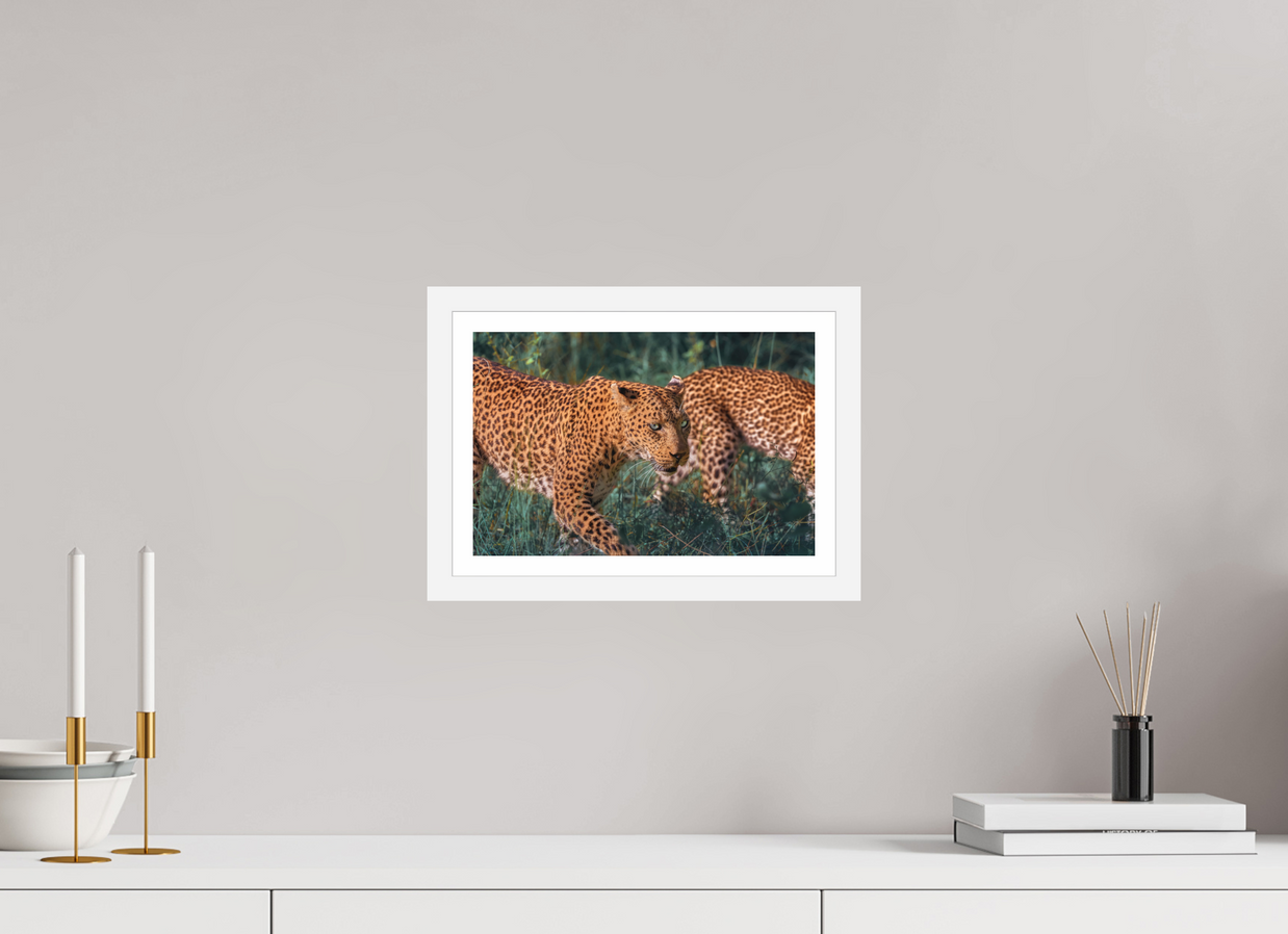 12 x 8″, S+M White Frame + Border UNTAMED OPULENCE