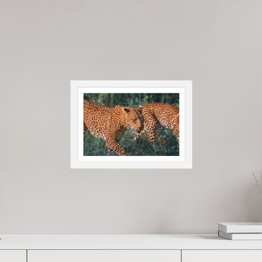 12 x 8″, S+M White Frame + Border UNTAMED OPULENCE