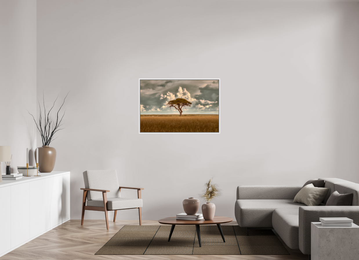 45 x 30″, L+XL White Floater Frame Structured Chaos