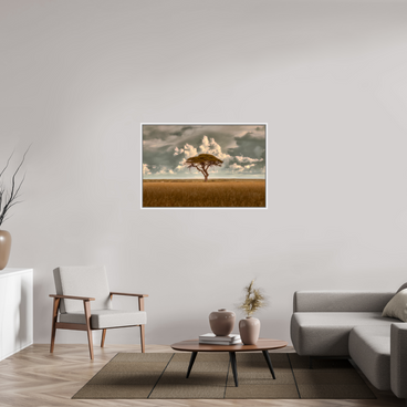 45 x 30″, L+XL White Floater Frame Structured Chaos