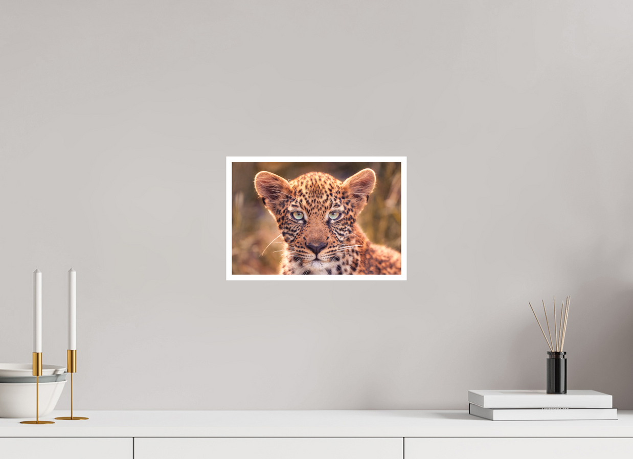 12 x 8″, S Print SEEN