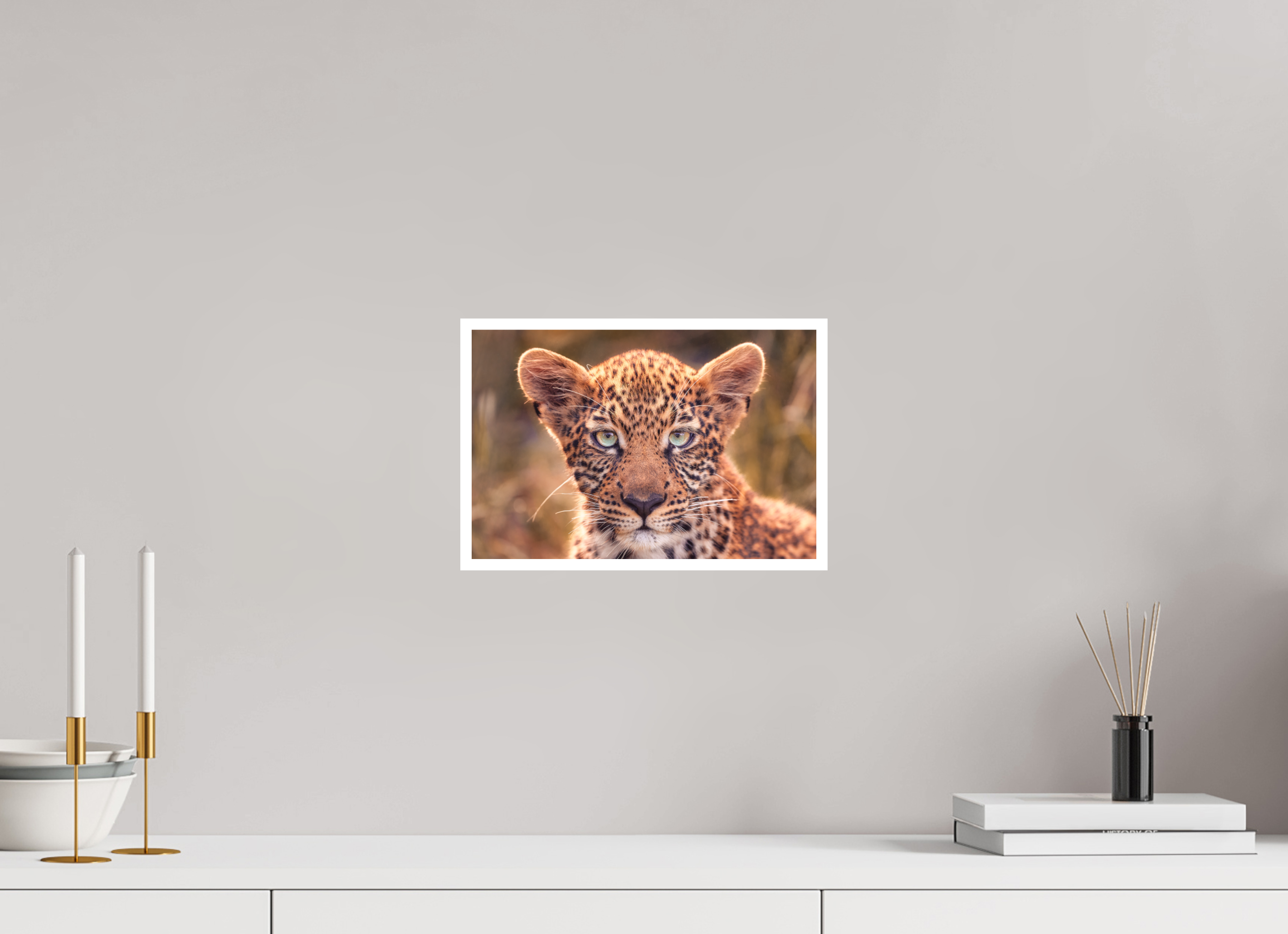 12 x 8″, S Print SEEN