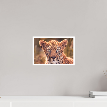 12 x 8″, S Print SEEN