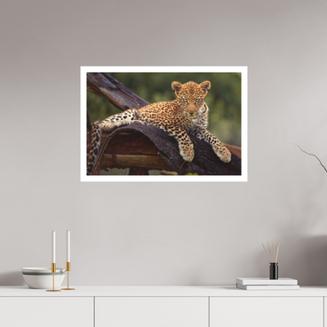 30 x 20″, L Print BEFORE KNOWING