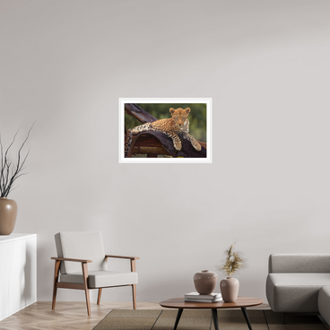 30 x 20″, L+XL White Frame + Border BEFORE KNOWING