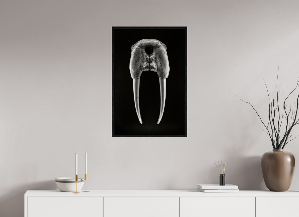 20 x 30″, L+XL Black Floater Frame DENTAL PLAN