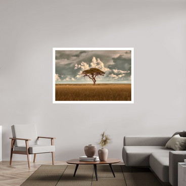 60 x 40″, XL + Exhibition Print STRUCTURED CHAOS