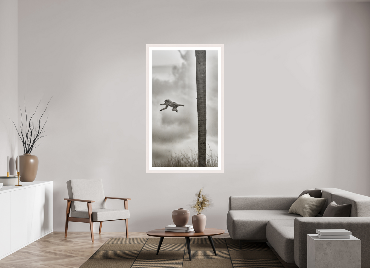 36 x 64″, Exhibition White Maple Frame + Border Beyond The Branch