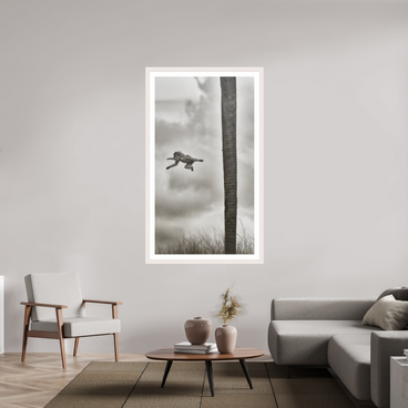 36 x 64″, Exhibition White Maple Frame + Border Beyond The Branch