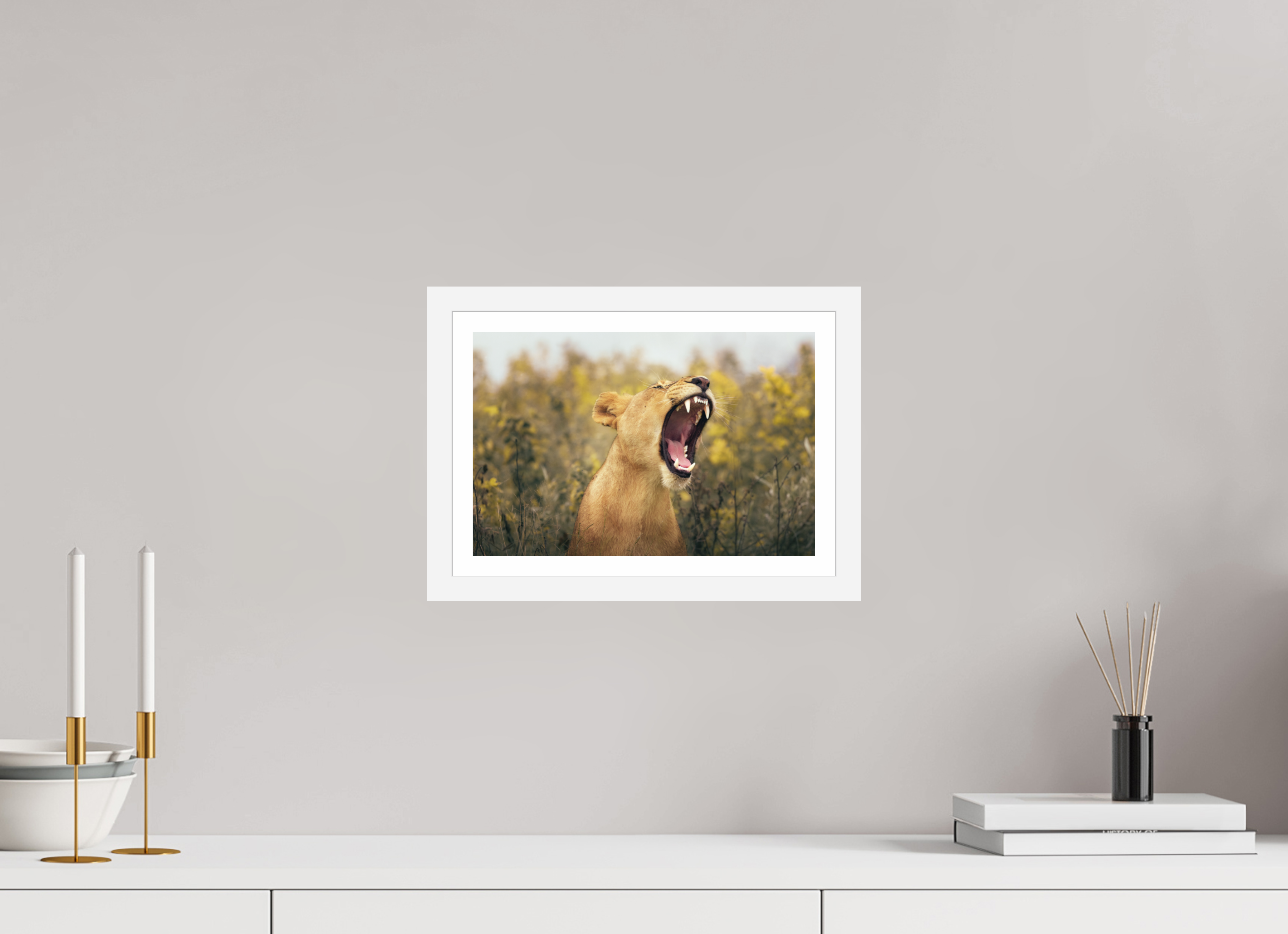 12 x 8″, S+M White Frame + Border UNCONTAINED