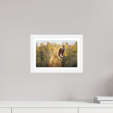 12 x 8″, S+M White Frame + Border UNCONTAINED