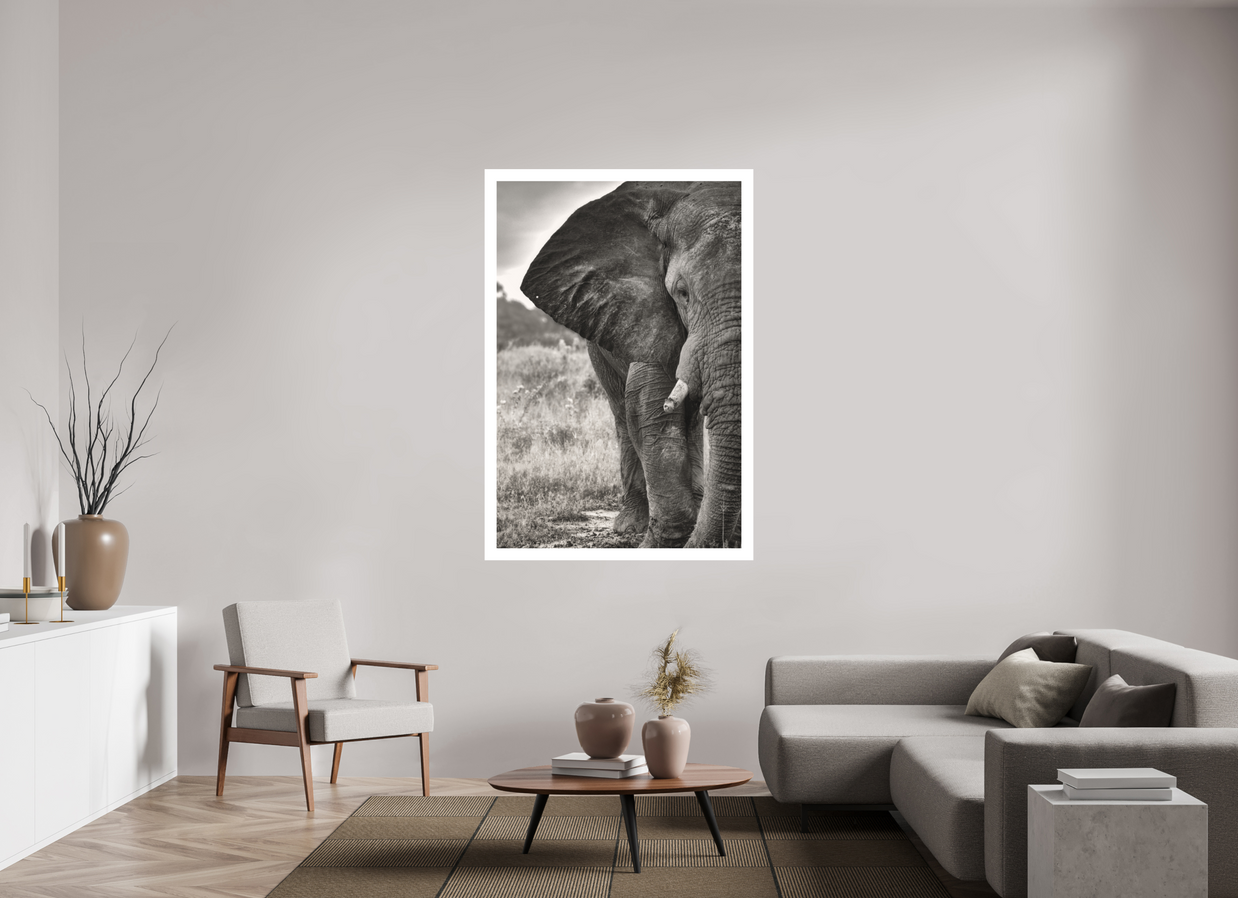 40 x 60″, XL + Exhibition Print BURDEN OF A TITAN