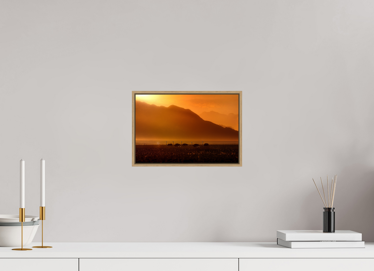 12 x 8″, S+M Oak Floater Frame Procession of Light
