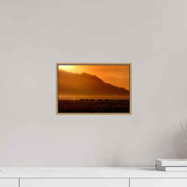 12 x 8″, S+M Oak Floater Frame Procession of Light