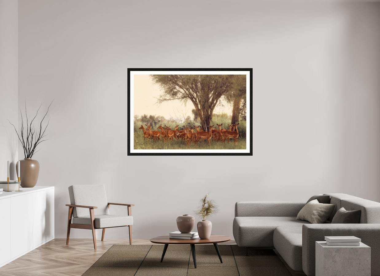 60 x 40″, Exhibition Black Frame + Border THE FIELD FEELS
