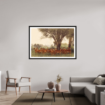 60 x 40″, Exhibition Black Frame + Border THE FIELD FEELS