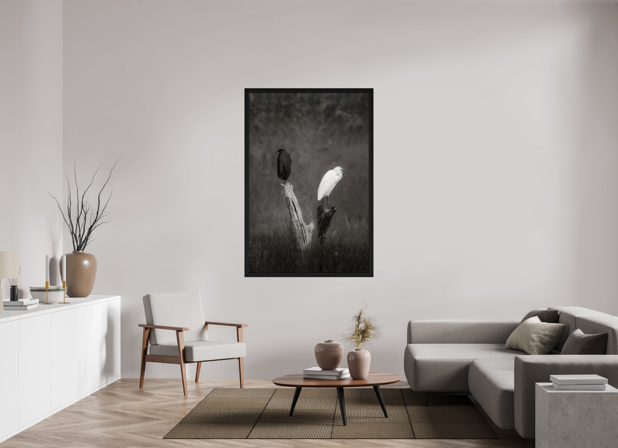 40 x 60″, Exhibition Black Floater Frame TWO TRUTHS