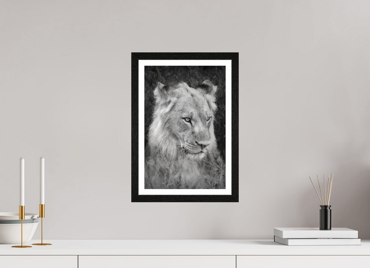 10 x 15″, S+M Black Frame + border HEAVY WILL BE THE CROWN