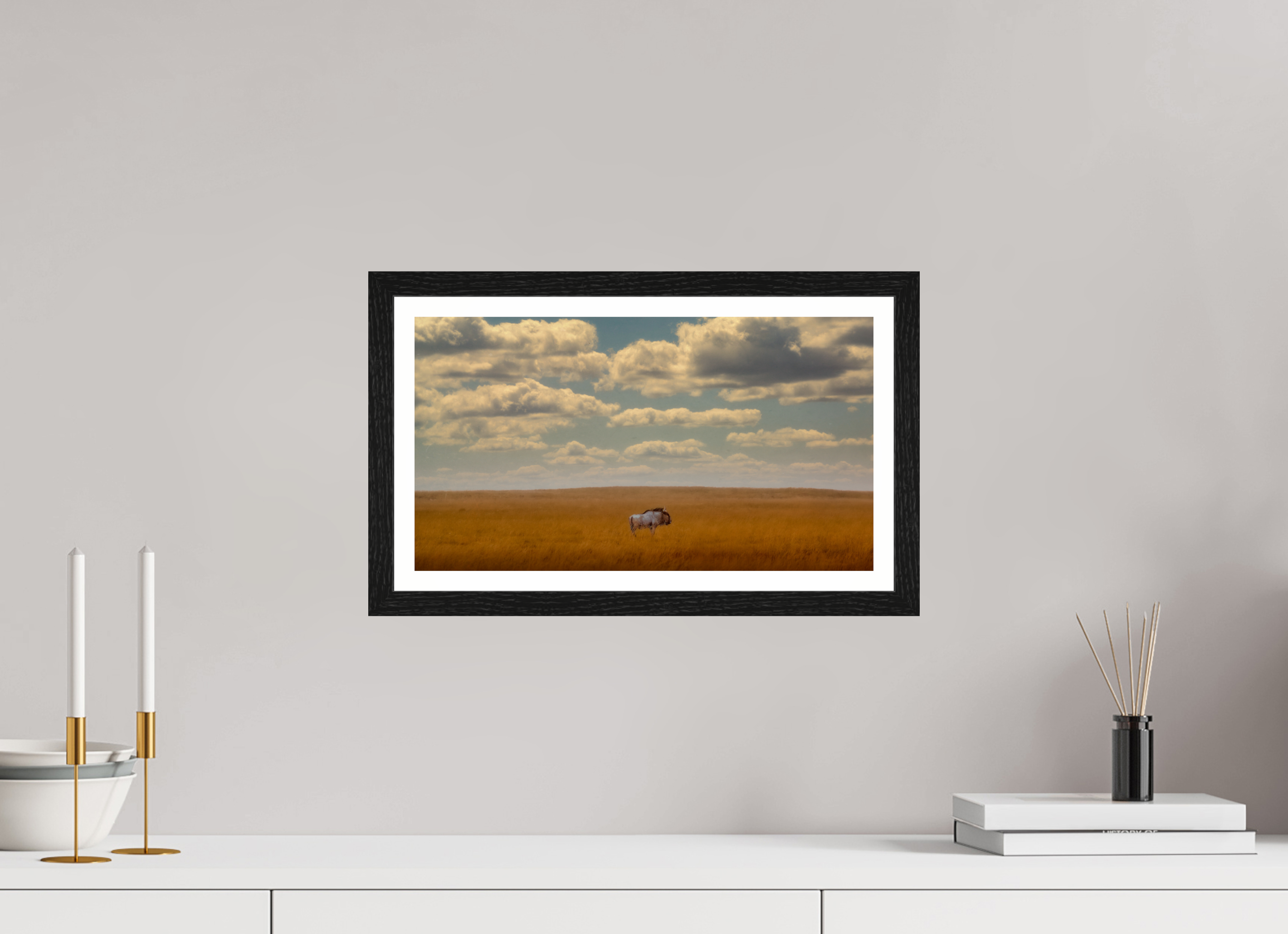 16 x 9″, S+M Black Frame + border FREEDOM OF EXPOSURE