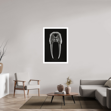 30 x 45″, XL + Exhibition Print DENTAL PLAN