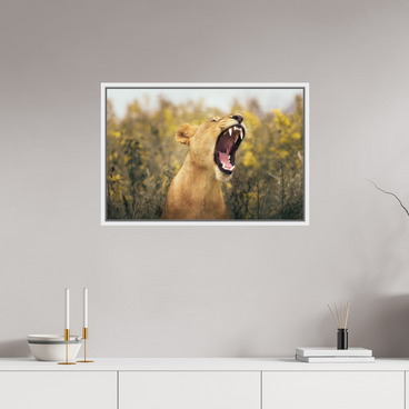 30 x 20″, L+XL White Floater Frame Uncontained