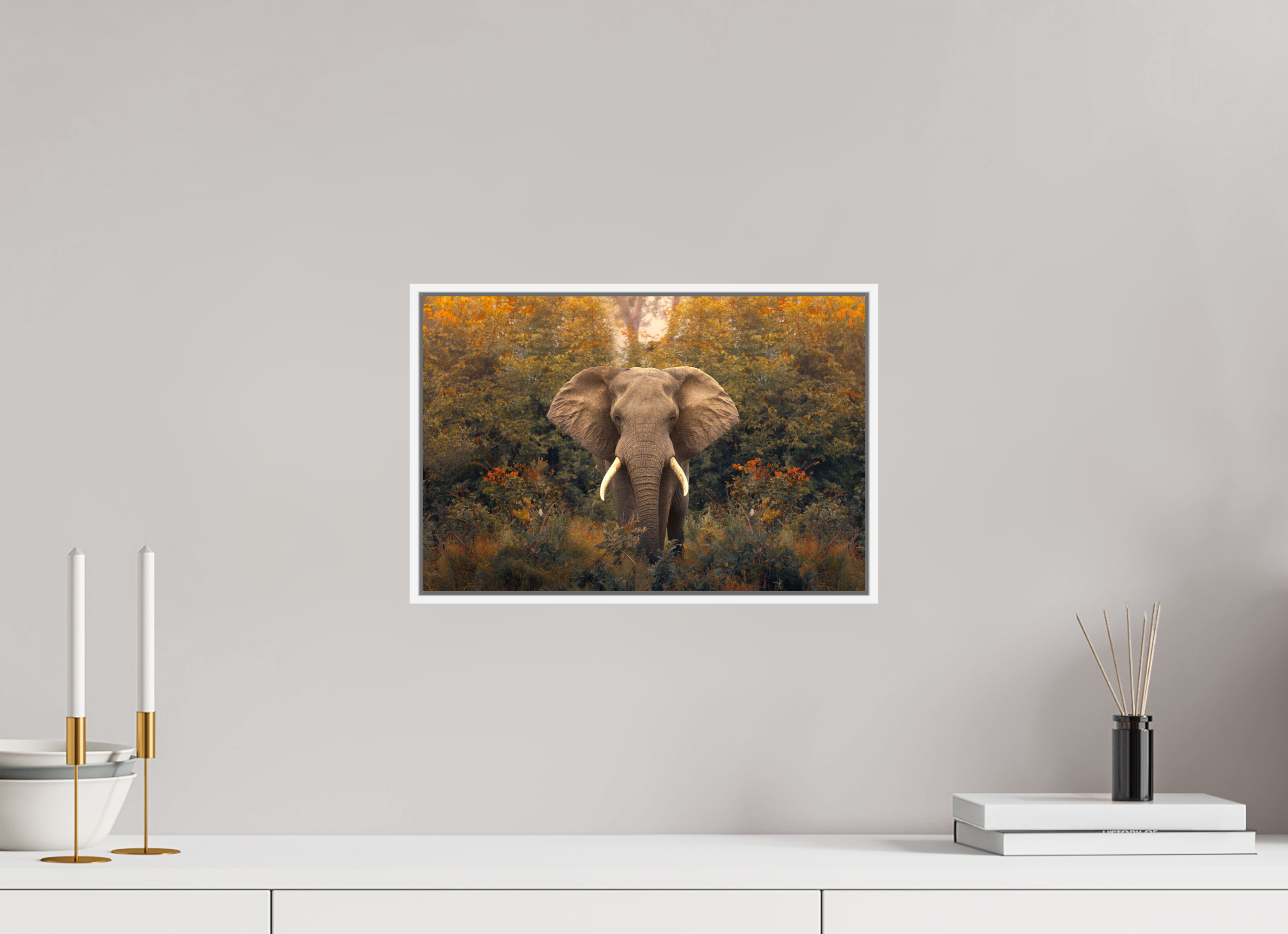 15 x 10″, S+M White Floater Frame Revelation