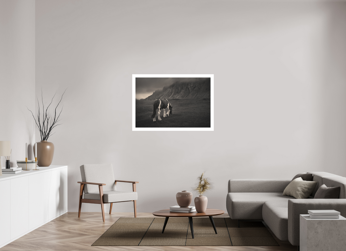 45 x 30″, XL + Exhibition Print Unbothered