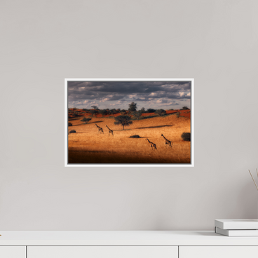 15 x 10″, S+M White Floater Frame Symphony of Silence