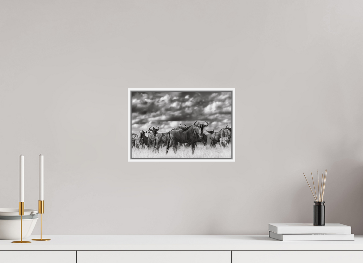 12 x 8″, S+M White Floater Frame Myself in the Many