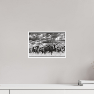 12 x 8″, S+M White Floater Frame Myself in the Many