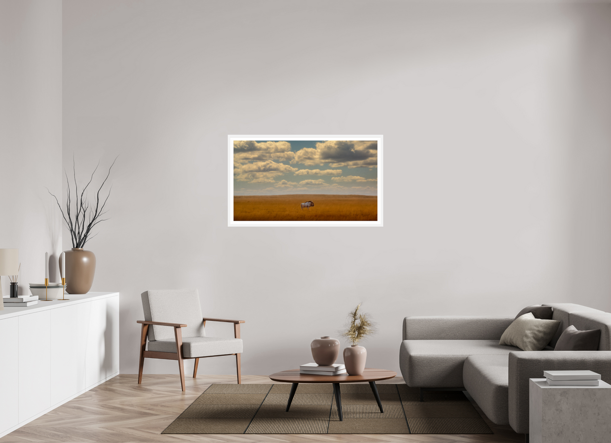 49 x 27.6″, L+XL White Frame + Border FREEDOM OF EXPOSURE