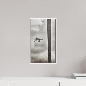 9 x 16″, S+M White Floater Frame BEYOND THE BRANCH