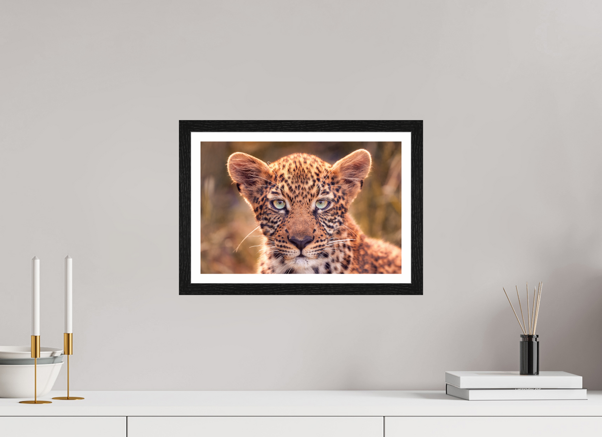 15 x 10″, S+M Black Frame + border SEEN