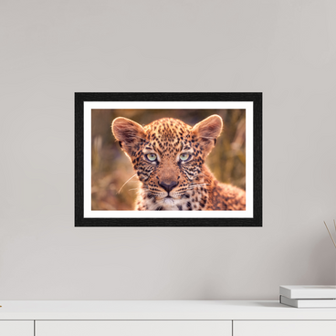 15 x 10″, S+M Black Frame + border SEEN
