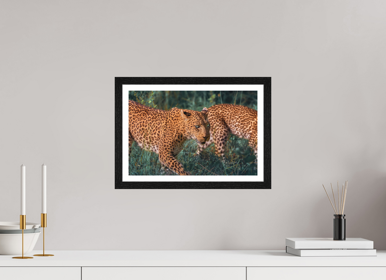 15 x 10″, S+M Black Frame + border UNTAMED OPULENCE