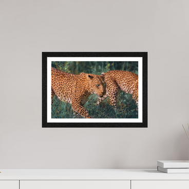 15 x 10″, S+M Black Frame + border UNTAMED OPULENCE