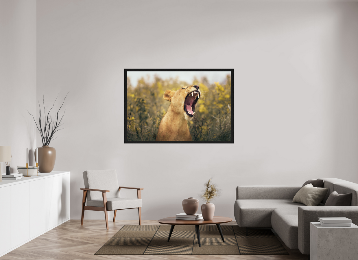 60 x 40″, Exhibition Black Floater Frame UNCONTAINED