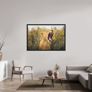 60 x 40″, Exhibition Black Floater Frame UNCONTAINED