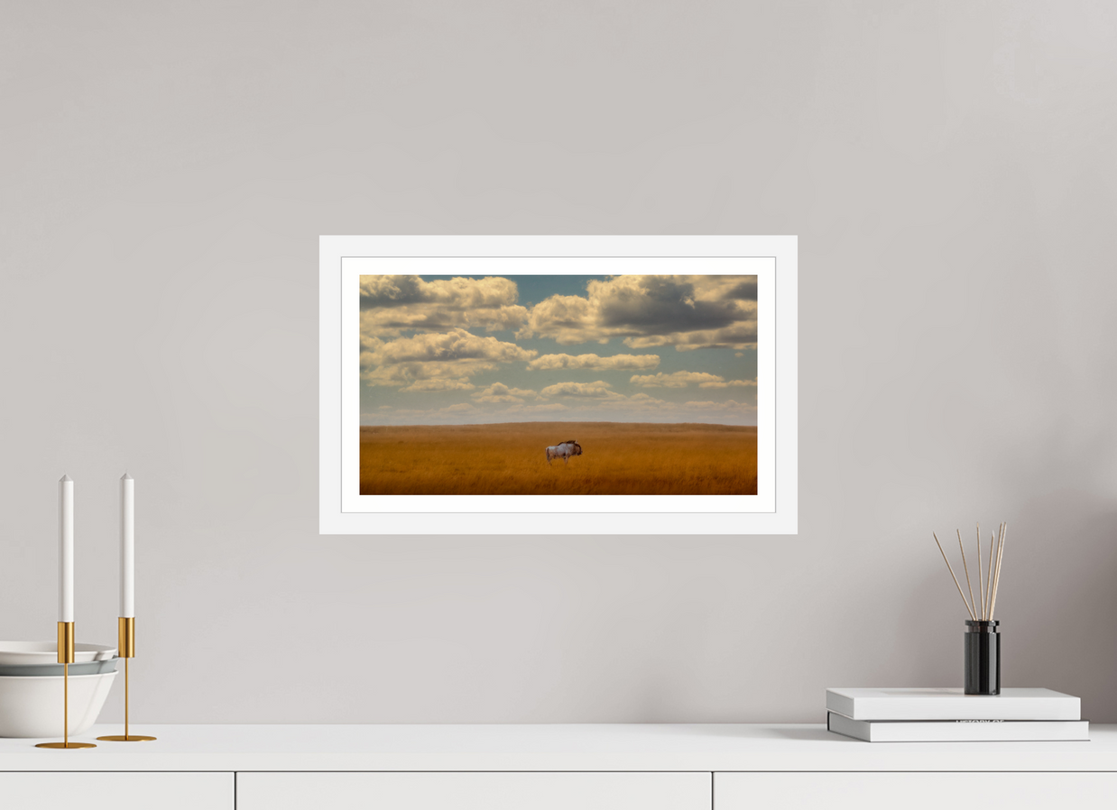 16 x 9″, S+M White Frame + Border FREEDOM OF EXPOSURE