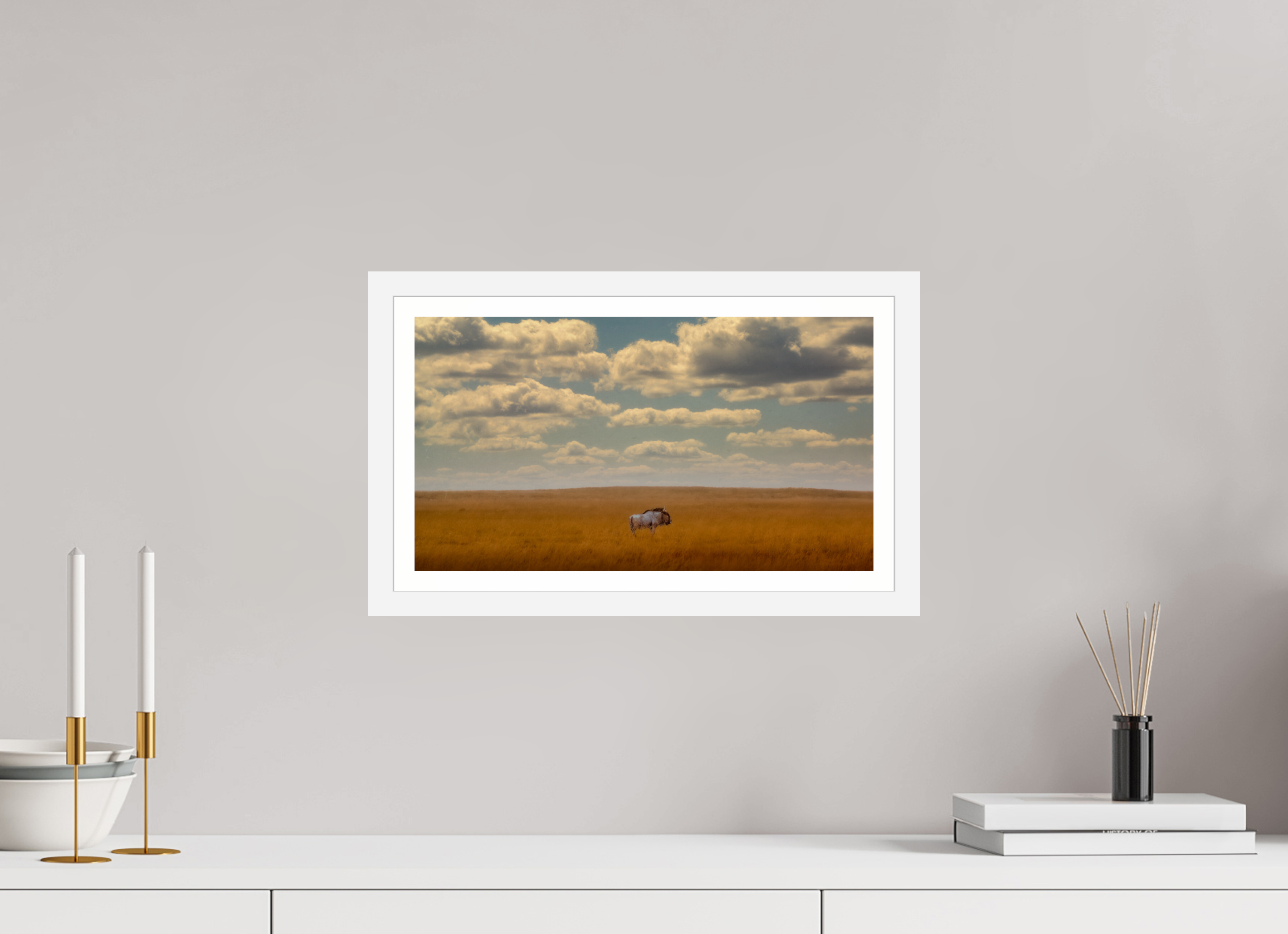 16 x 9″, S+M White Frame + Border FREEDOM OF EXPOSURE