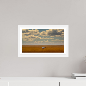 16 x 9″, S+M White Frame + Border FREEDOM OF EXPOSURE