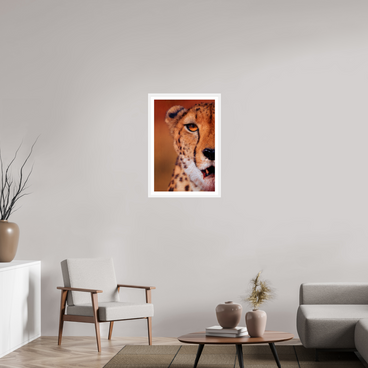 20 x 30″, L+XL White Frame + Border AS IT IS