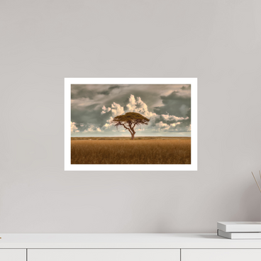 15 x 10″, M Print STRUCTURED CHAOS