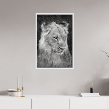 20 x 30″, M L White Floater Heavy will be the Crown