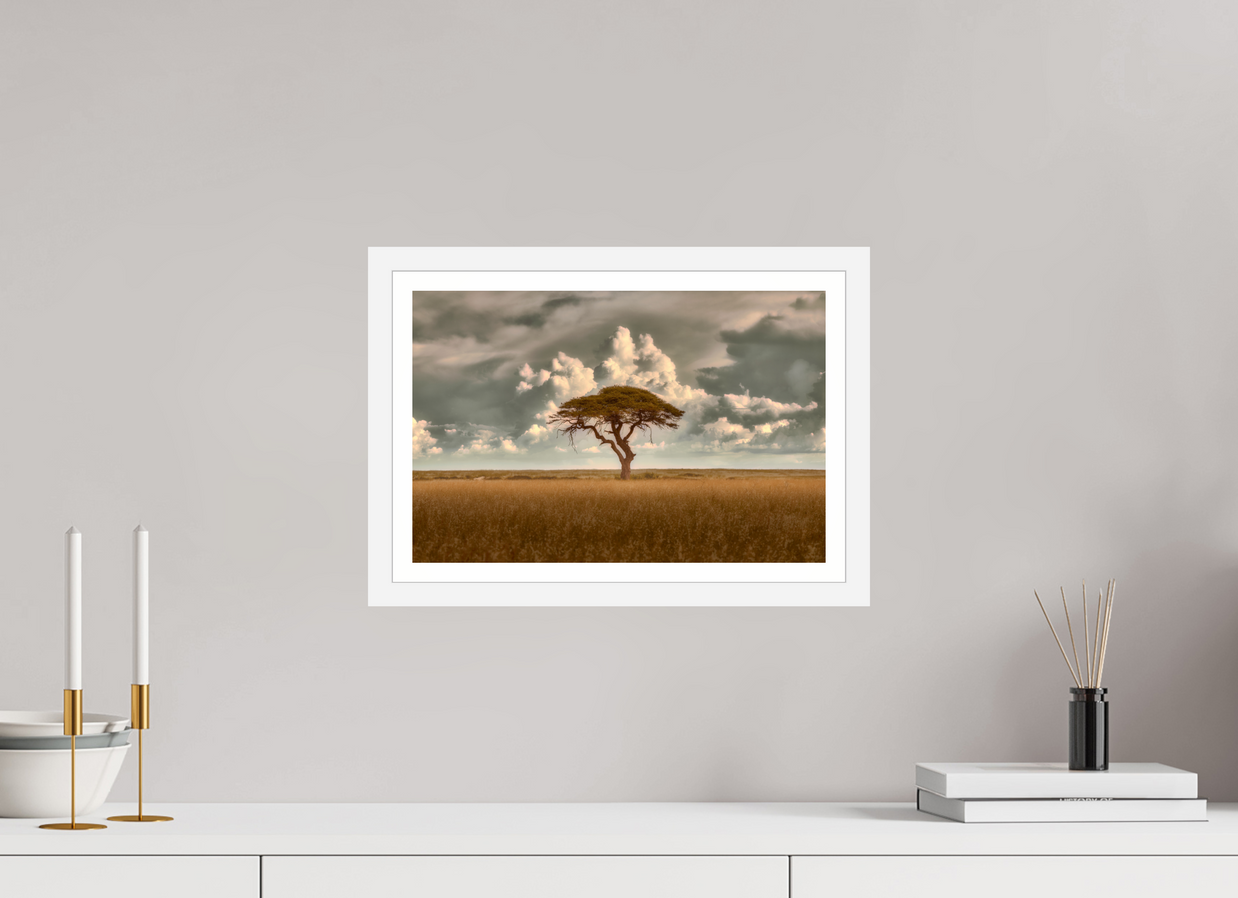 15 x 10″, S+M White Frame + Border STRUCTURED CHAOS