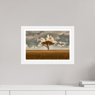 15 x 10″, S+M White Frame + Border STRUCTURED CHAOS