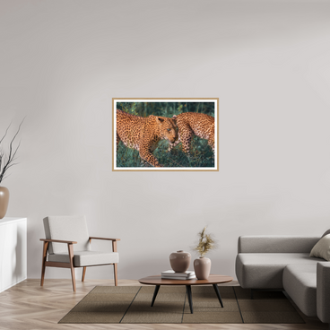 45 x 30″, L+XL Oak Frame + Border UNTAMED OPULENCE