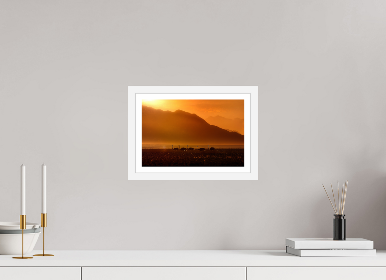 12 x 8″, S+M White Frame + Border PROCESSION OF LIGHT