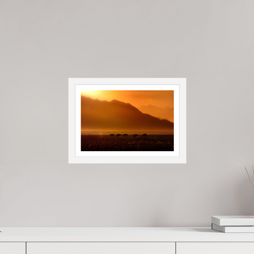 12 x 8″, S+M White Frame + Border PROCESSION OF LIGHT