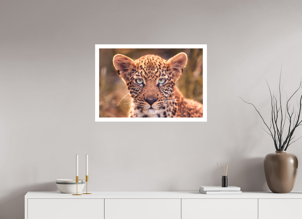 30 x 20″, L Print SEEN
